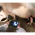 Dawei light and cheap cow ultrasound machine